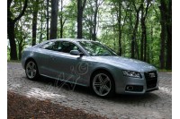 накладки на пороги Audi A5 Coupe