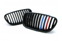 Решетка (ноздри) BMW F10/F11/M5 цветные