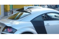 Бленда (Накладка на стекло) Audi TT